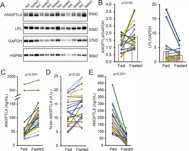 Figure 4