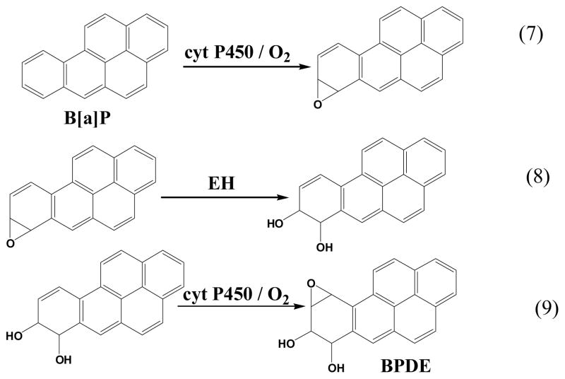 Scheme 3