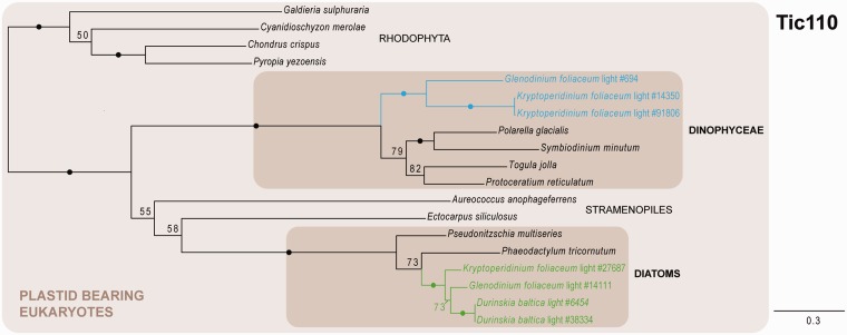 Fig. 7.—