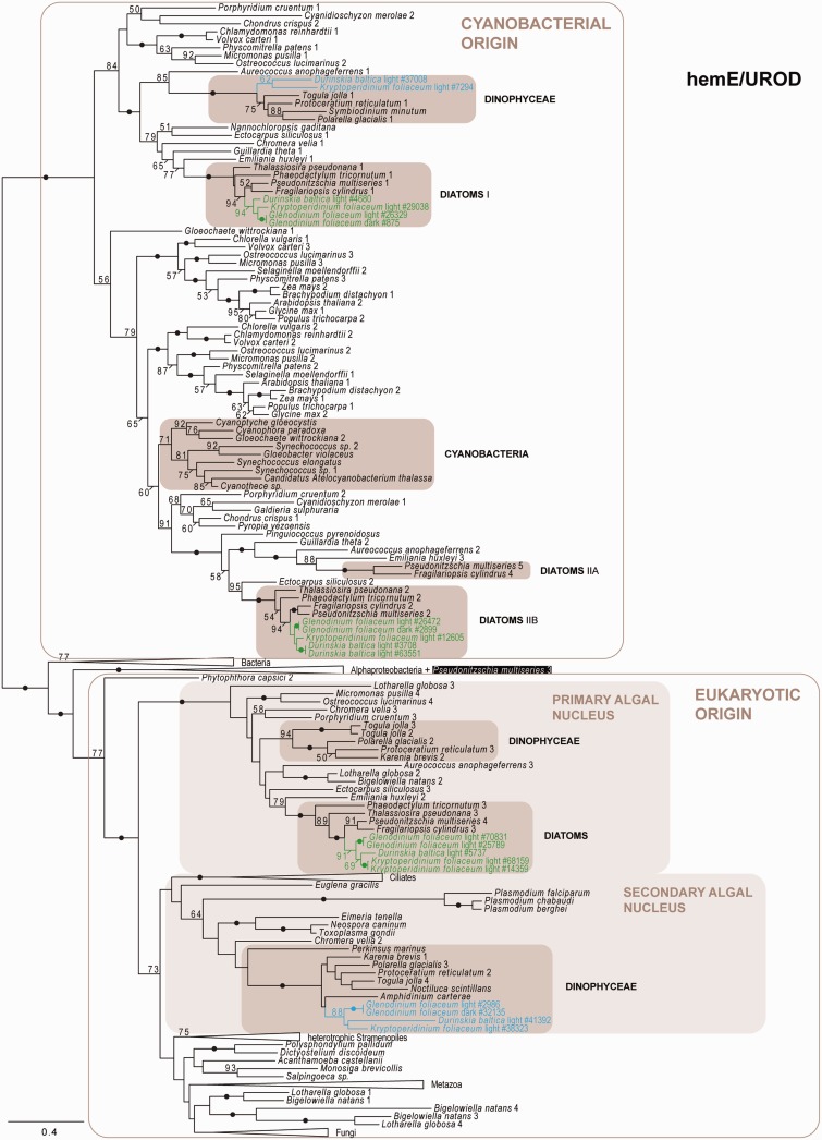 Fig. 3.—