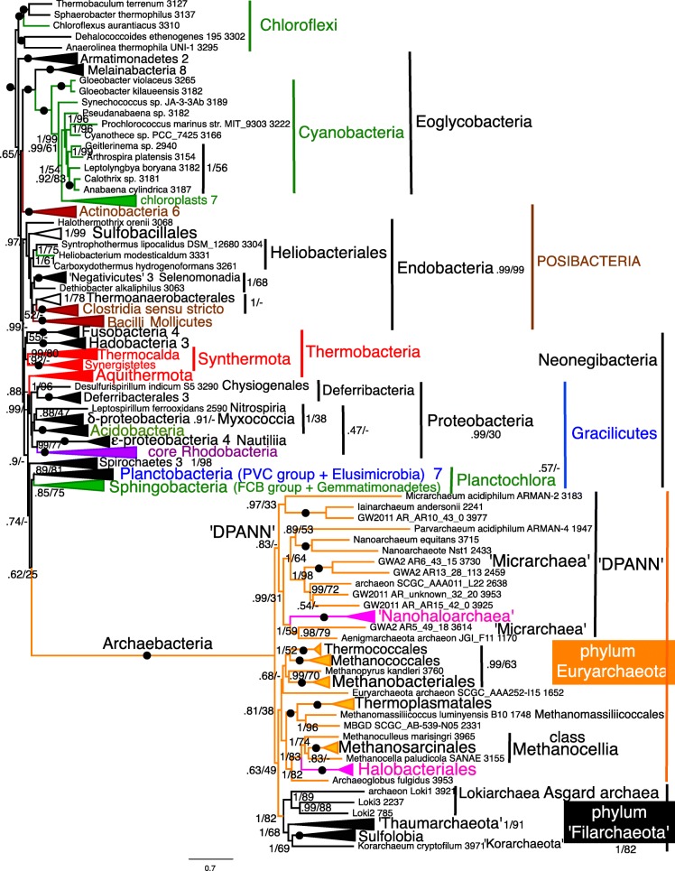 Fig. 7