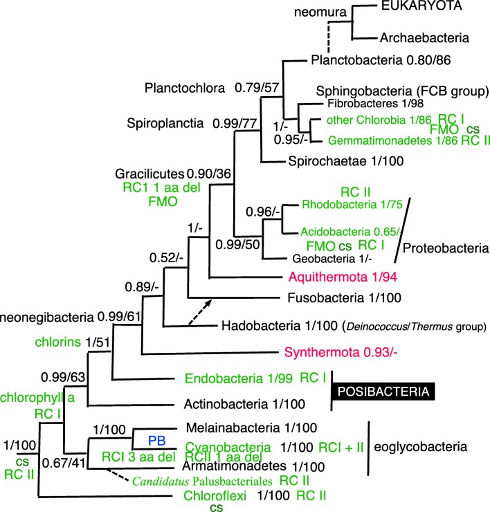 Fig. 11