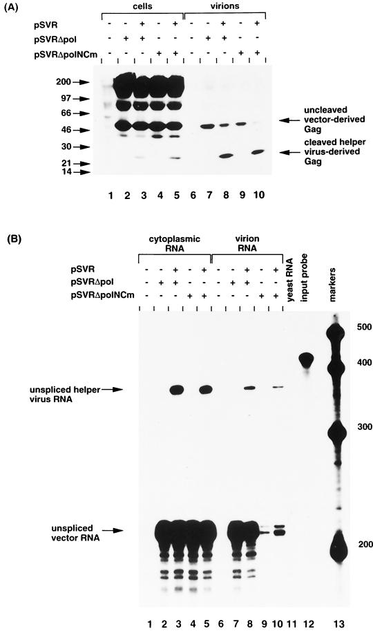 FIG. 6