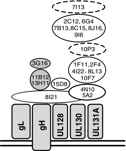 FIG. 4.