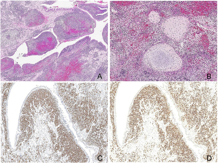 Fig. 2