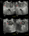 Figure 1.
