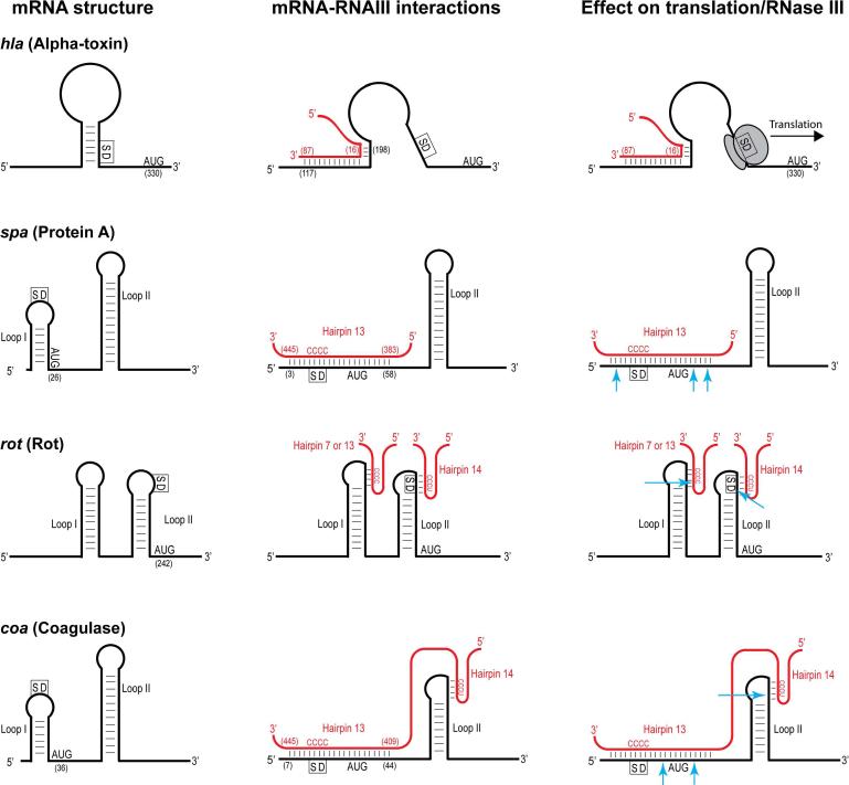 Figure 14