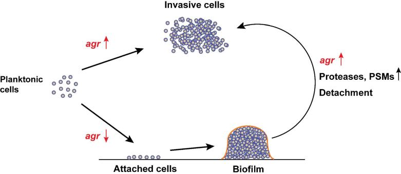 Figure 15