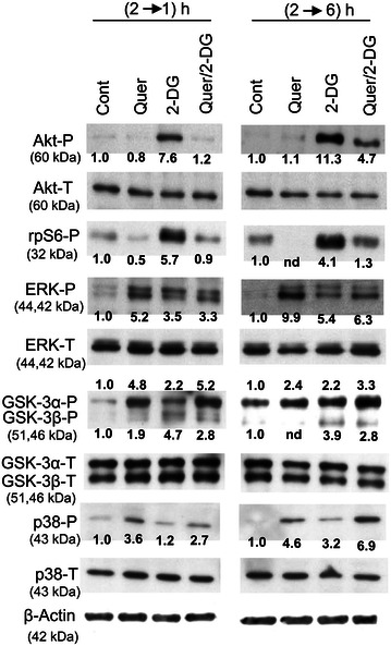 Fig. 6