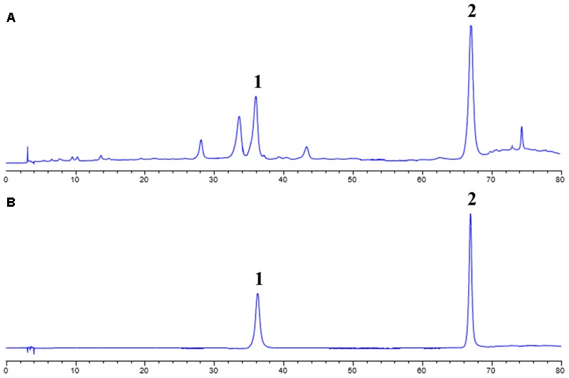 FIGURE 1