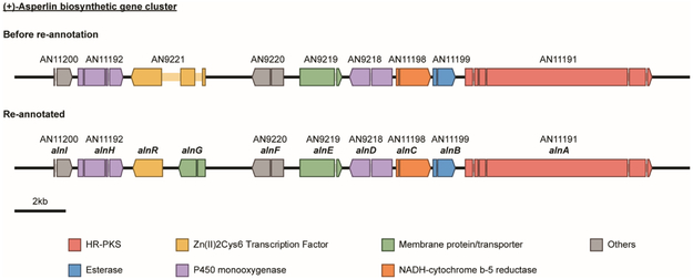 Figure 1.