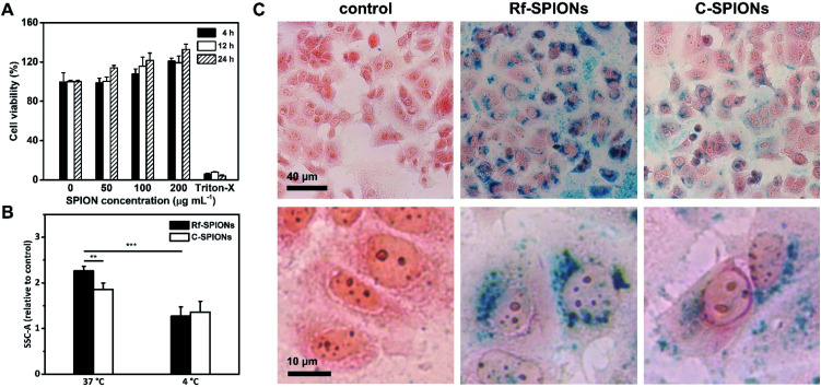 Fig. 7