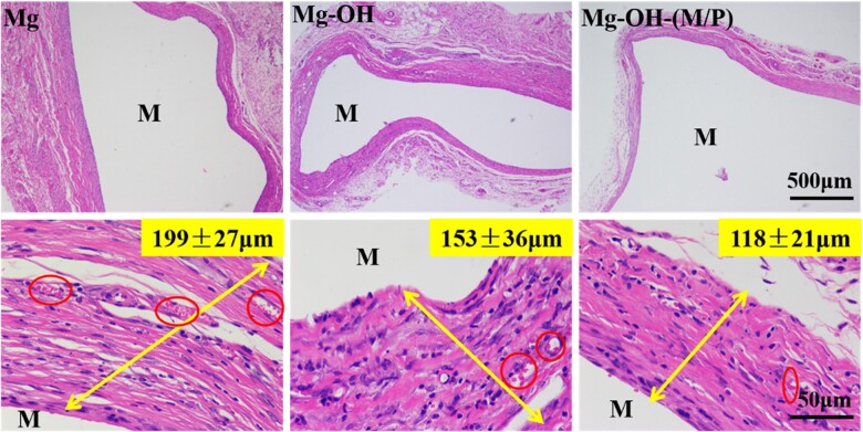 Figure 15.