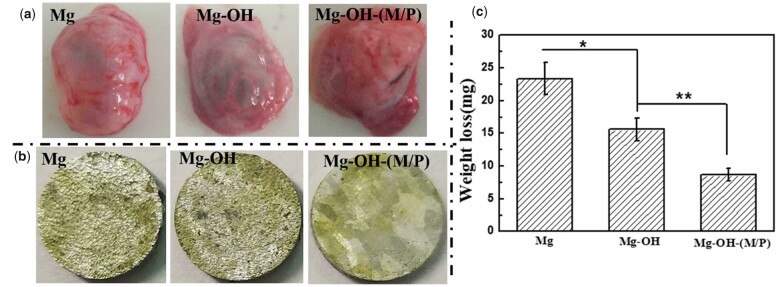 Figure 14.