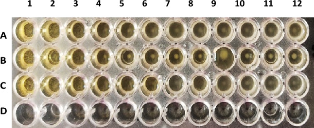 Figure 11