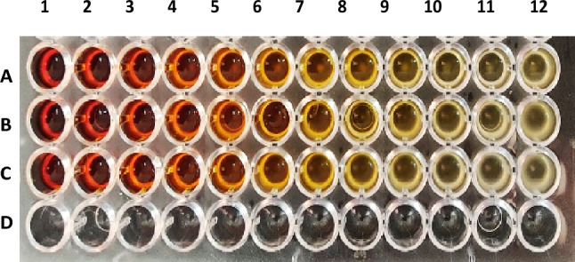 Figure 12