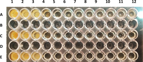Figure 10