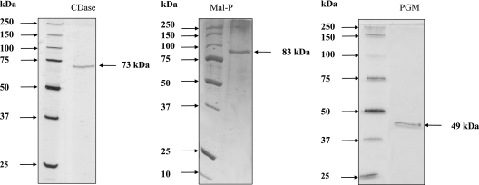 FIG. 3.