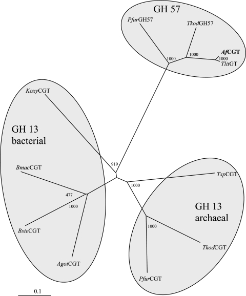 FIG. 9.