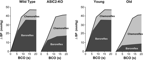 Fig. 17.