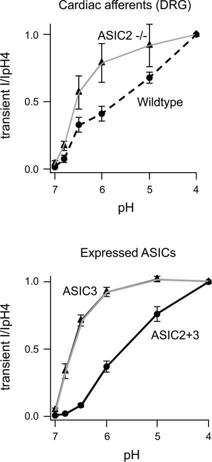 Fig. 21.