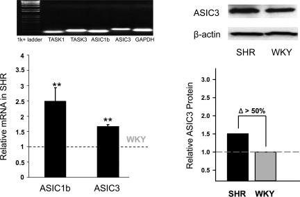 Fig. 23.