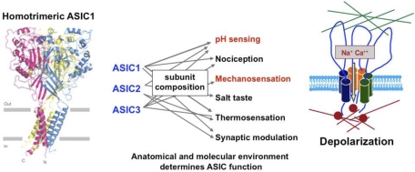 Fig. 11.