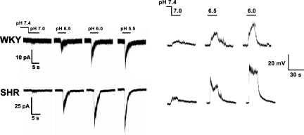 Fig. 22.