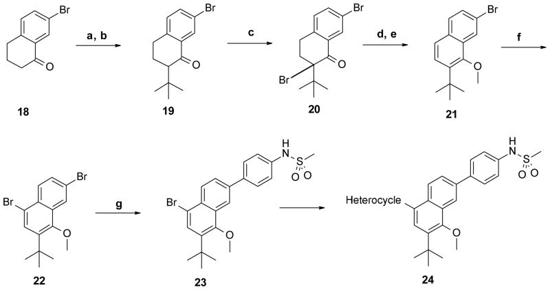 Scheme 3