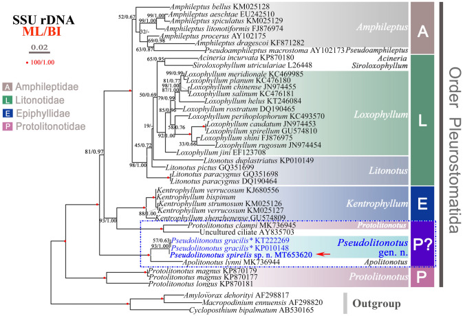 Fig. 6