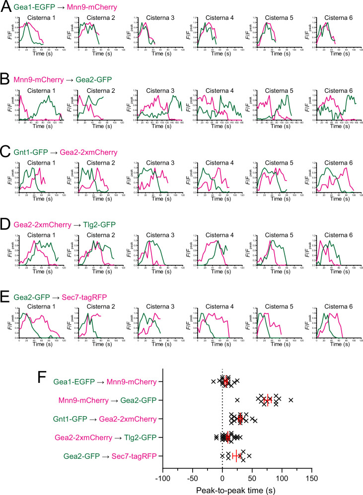 Figure 7—figure supplement 1.