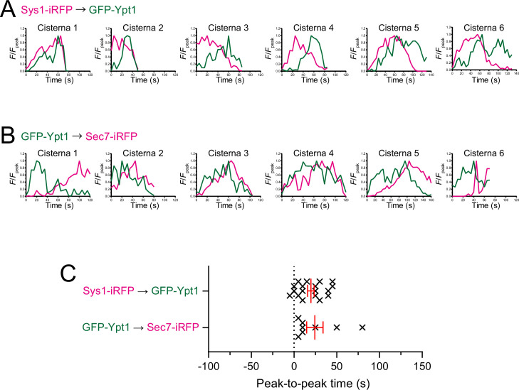 Figure 6—figure supplement 1.