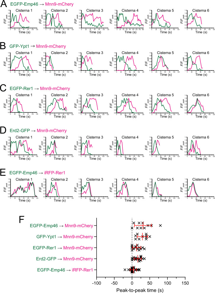 Figure 1—figure supplement 1.