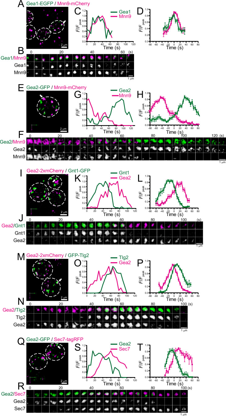 Figure 7.