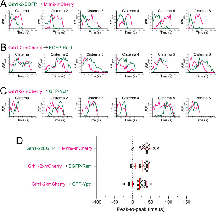 Figure 2—figure supplement 1.