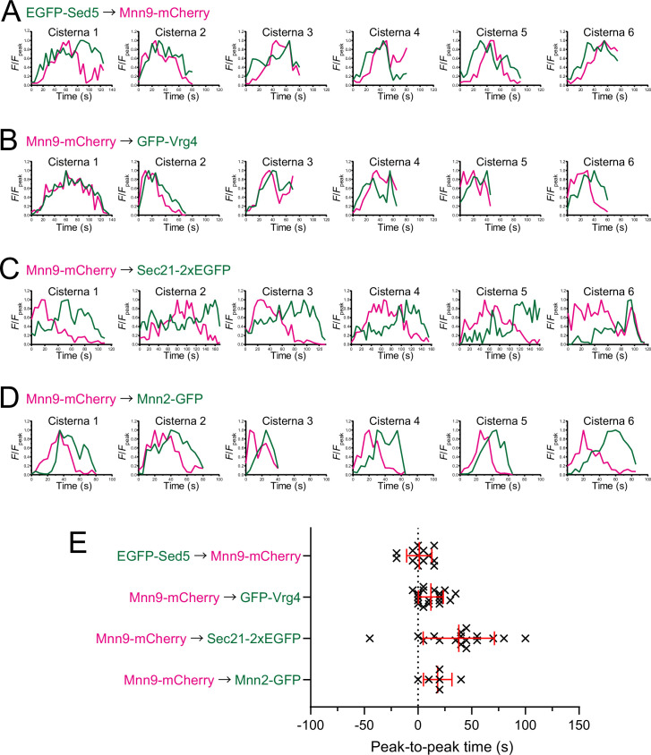 Figure 3—figure supplement 1.