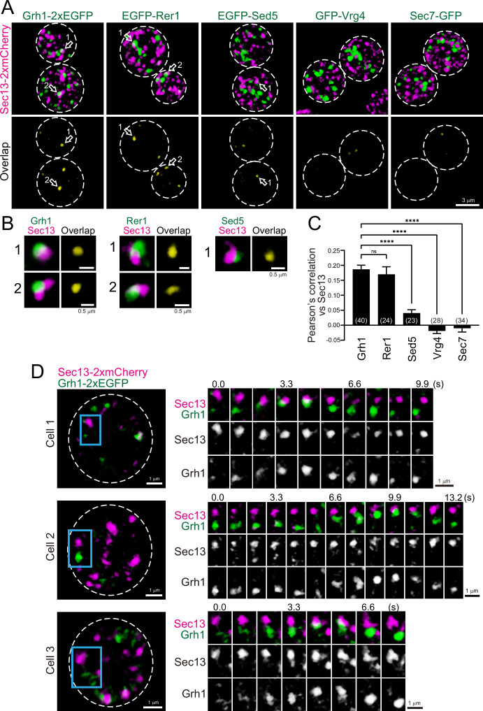 Figure 4.