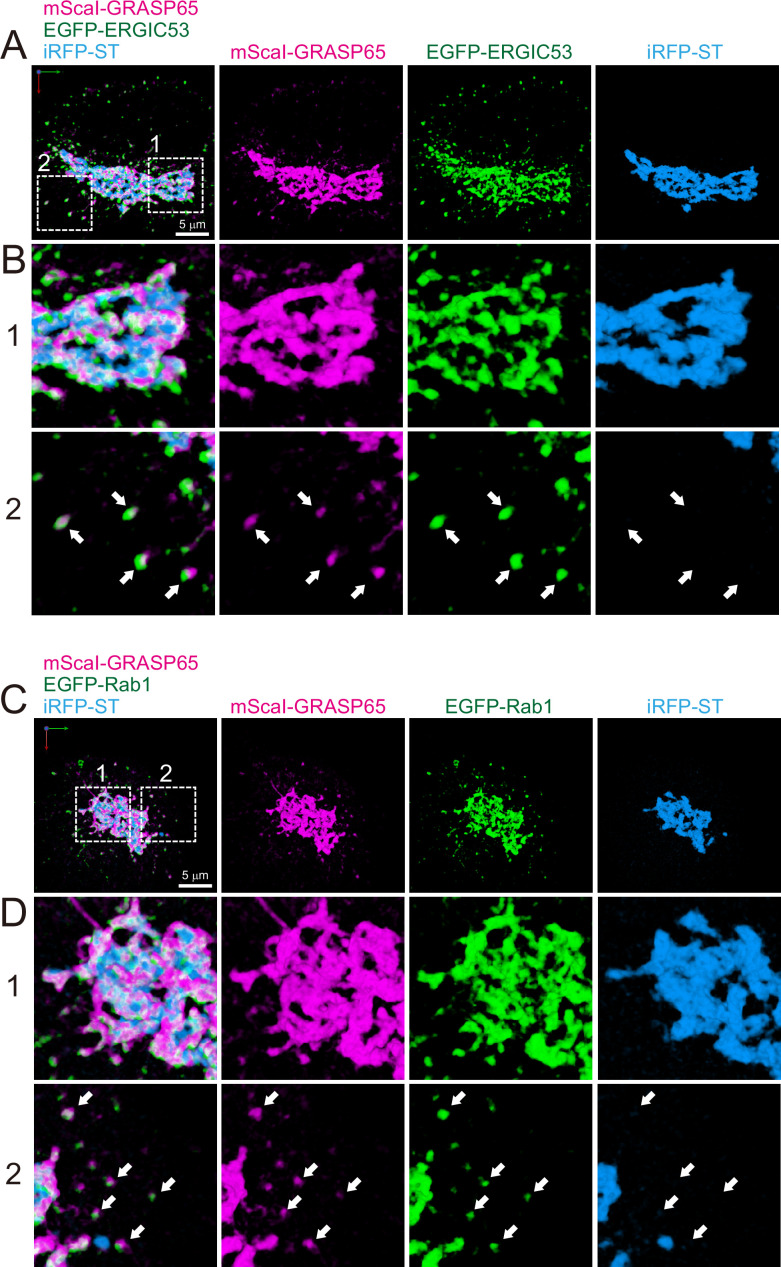 Figure 11.