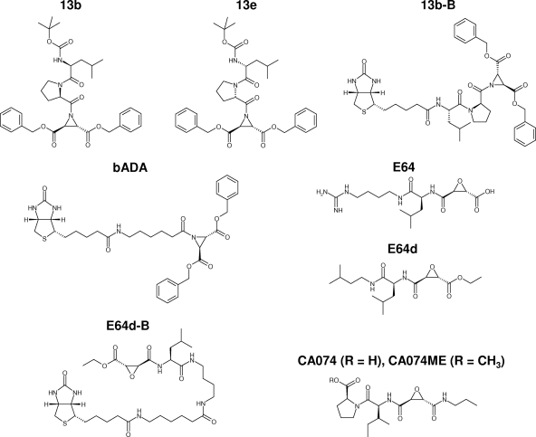 FIG. 1.