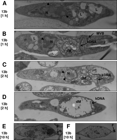 FIG. 6.