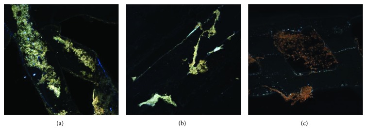 Figure 13