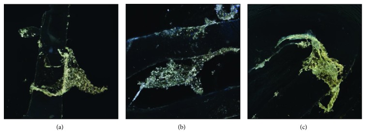 Figure 14