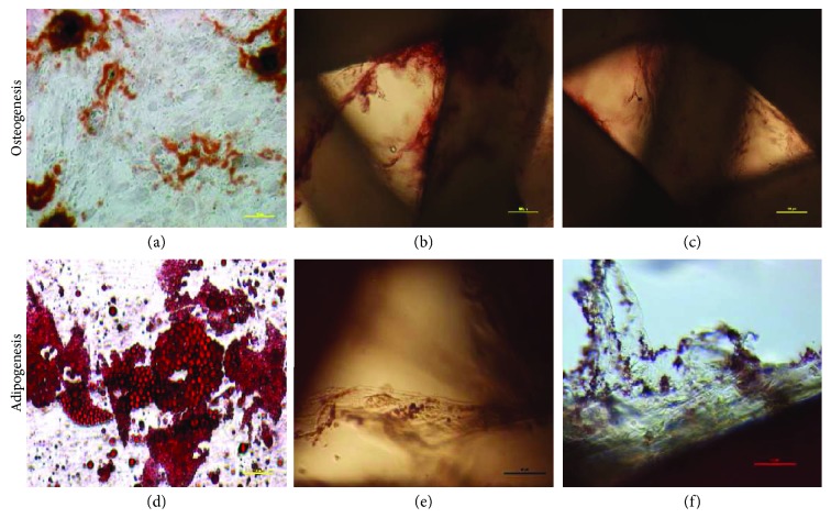 Figure 18