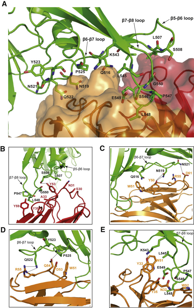 Figure 2