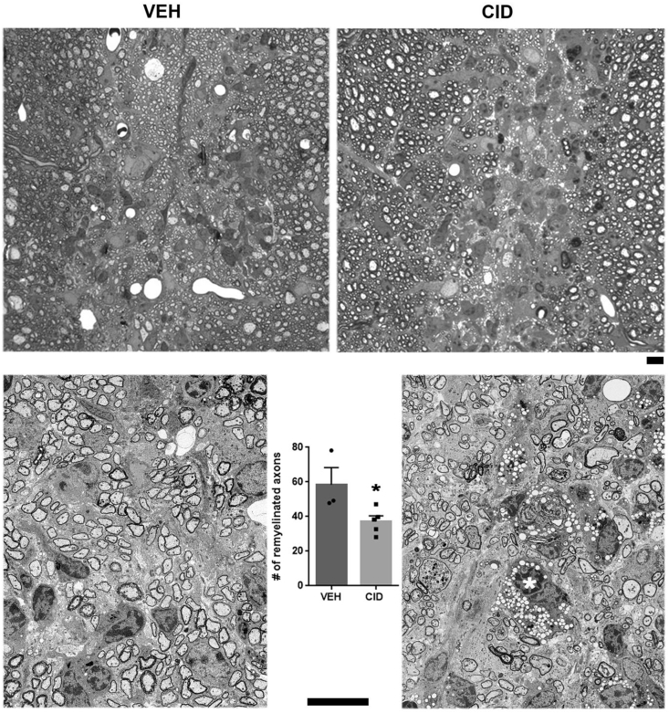 Fig. 6