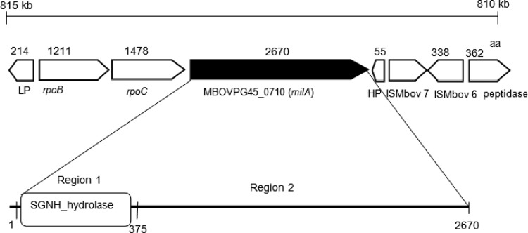 FIG 4