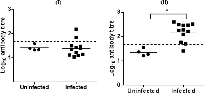 FIG 6