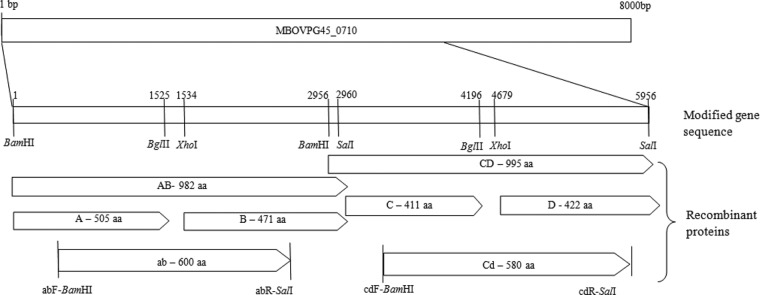 FIG 1