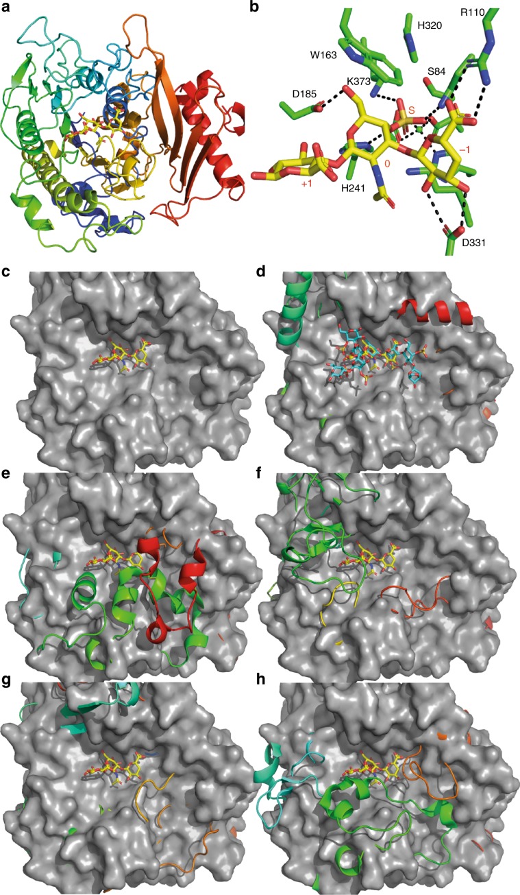 Fig. 4