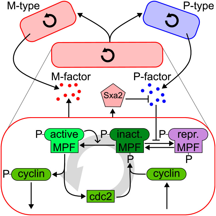 Fig 4